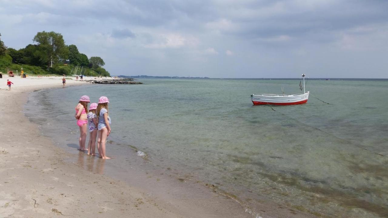 Zum Wohlfuhlen Fur 4 Erwachsene +1 Kind, Schwimmbad Vor Der Tur Tiere Erlaubt Appartement Sierksdorf Buitenkant foto