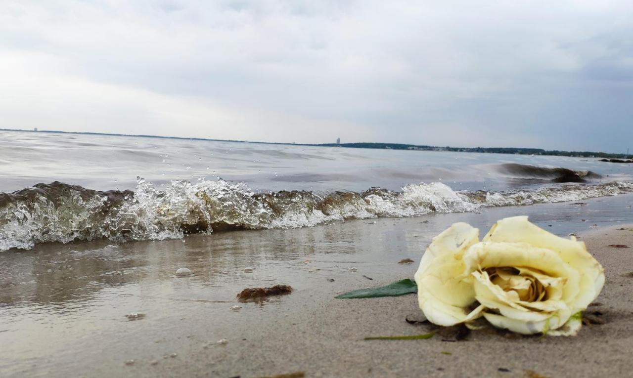 Zum Wohlfuhlen Fur 4 Erwachsene +1 Kind, Schwimmbad Vor Der Tur Tiere Erlaubt Appartement Sierksdorf Buitenkant foto